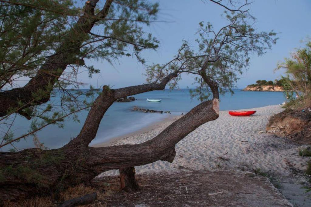 Airy Flat At Xenios Avlais *